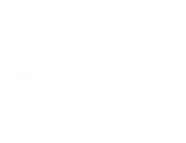 Bottomline logo