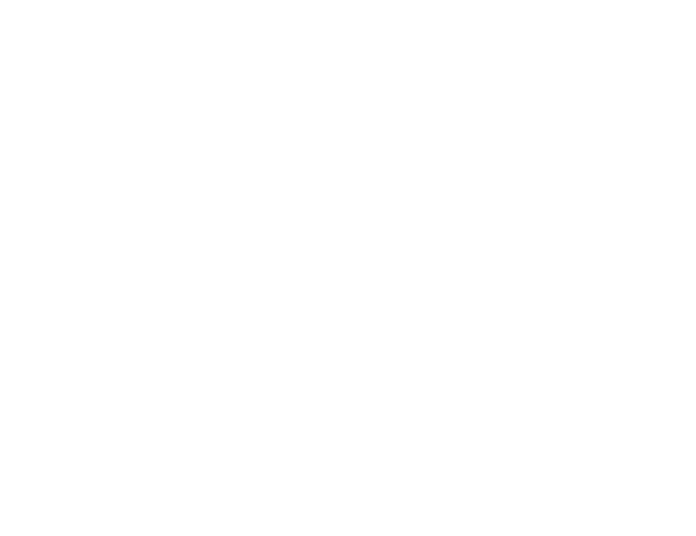 Bossinfo logo